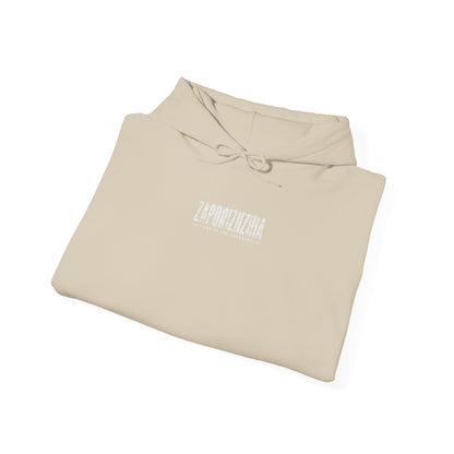 Zaporizhzhia Hoodie – Vintage Cityscape War Relief Design