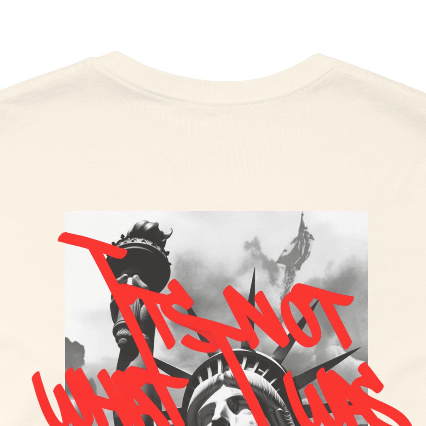 Money Graffiti Tee — 'I'm Not What I Was' Graphic Shirt