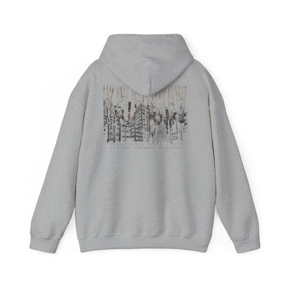 Kharkiv Hoodie — Resilient City Graphic Pullover (Back Print)