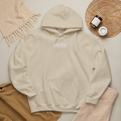 Zaporizhzhia Hoodie – Vintage Cityscape War Relief Design